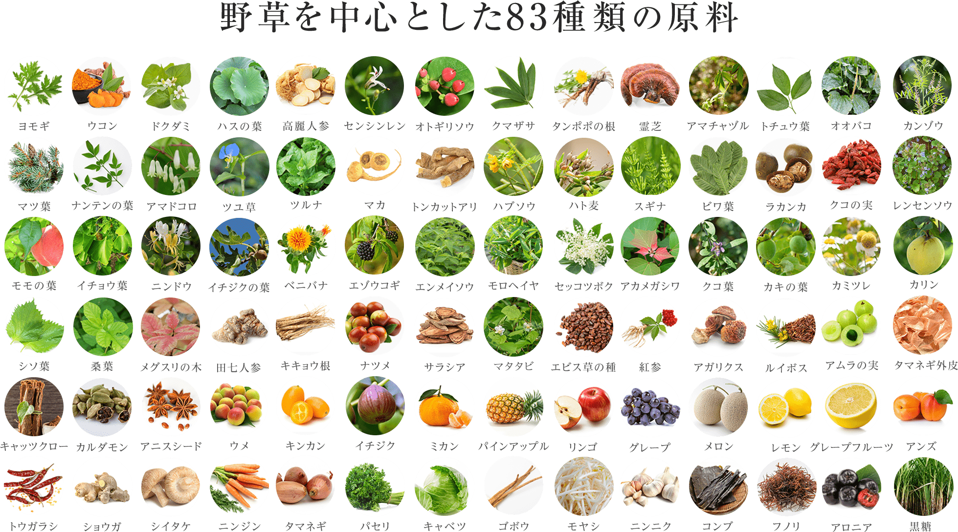 野草を中心とした83種類の原料