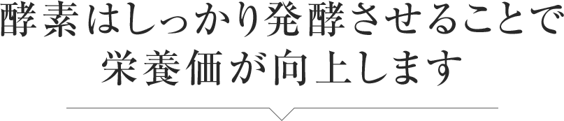 酵素はしっかり発酵させることで栄養価が向上します